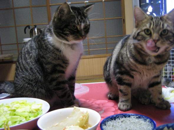 20110803142605_1_2