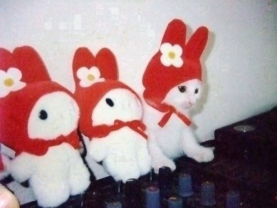 95_1