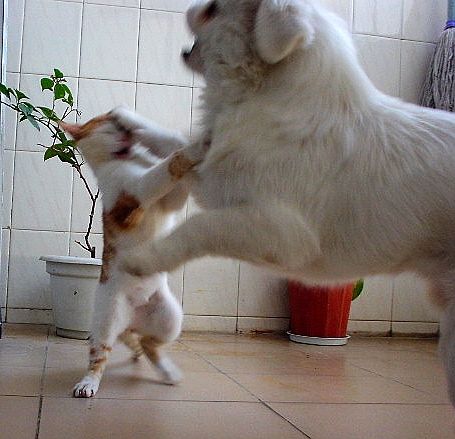 20110808093800_40_1
