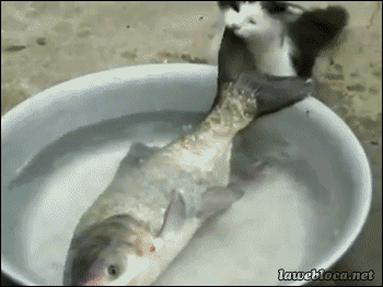 今日保存した最高の画像を転載するスレ 420 [転載禁止]©bbspink.com	YouTube動画>7本 ->画像>1181枚 