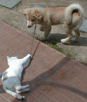 20110808093800_31_1