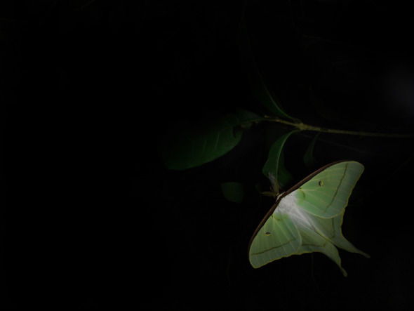 20110822131713_158_1