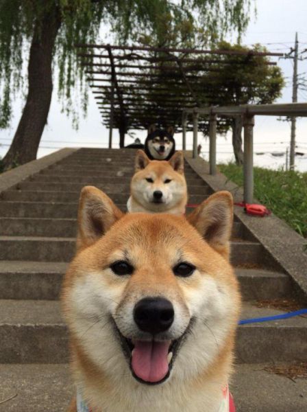 daily_picdump_1519_640_45