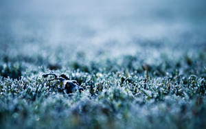 Frost_Wallpaper_1_by_pavel89l