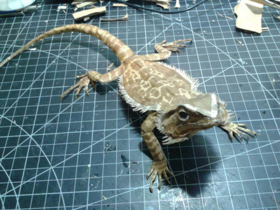 lifelike_bearded_dragon_made_out_of_cardboard_640_17