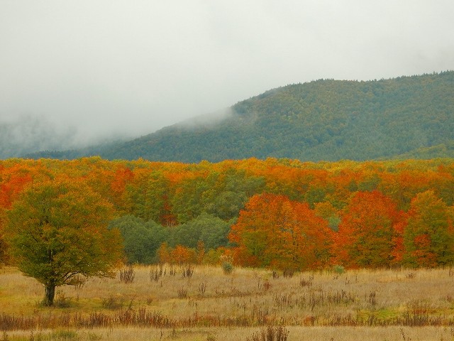 DSCN5586