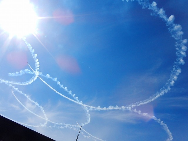 DSCN3145