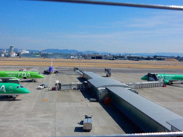 DSCN3133