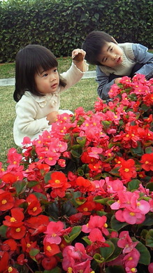 201202051457001