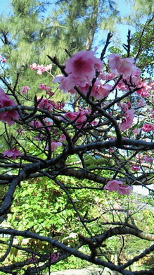 201202051013000