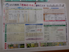 DSCN3879