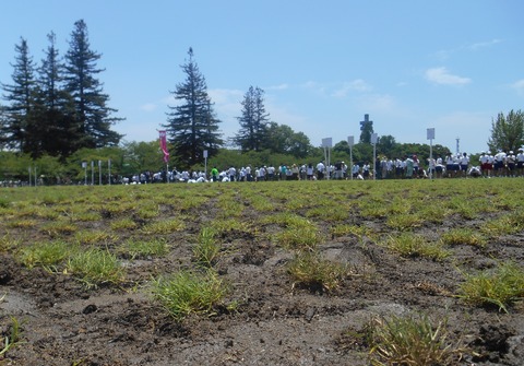 DSCN2143 - コピー