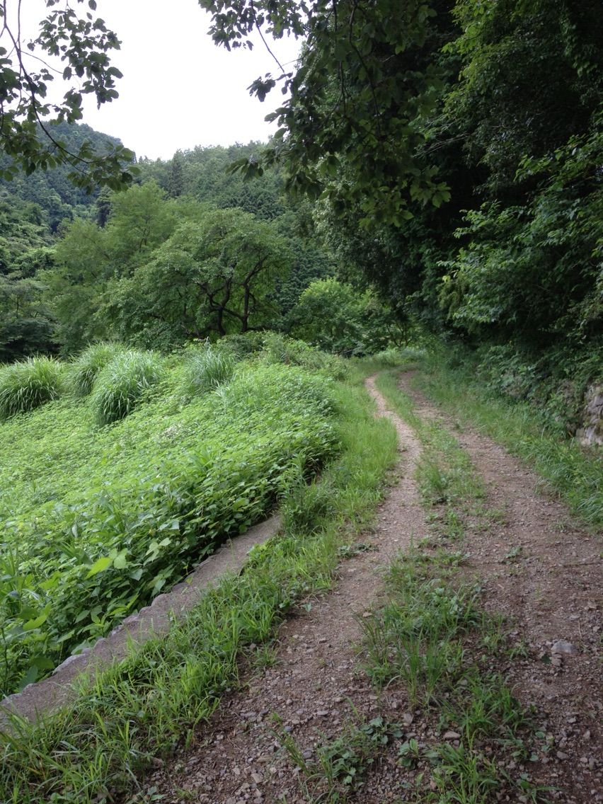 2013-07-20-11-11-10