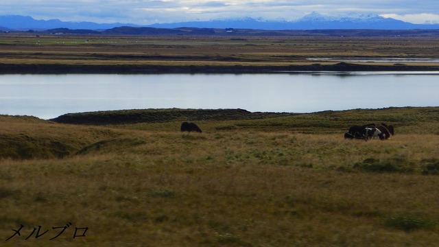 アイスランドの風景
