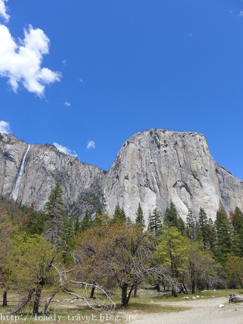 世界遺産ヨセミテ国立公園 Yosemite7