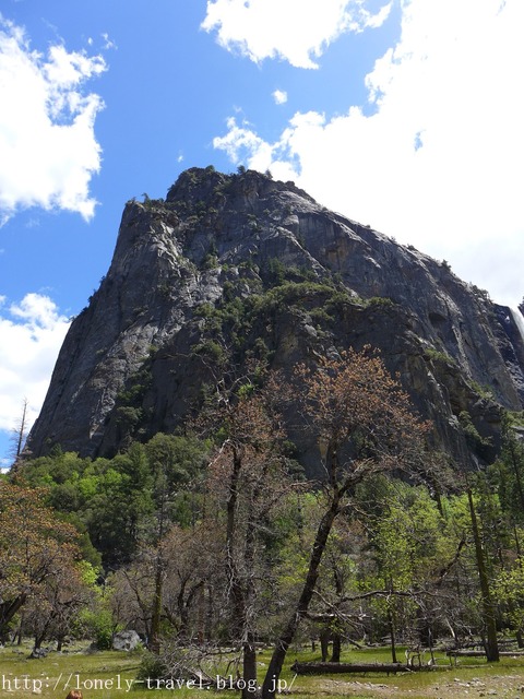 世界遺産ヨセミテ国立公園 Yosemite9