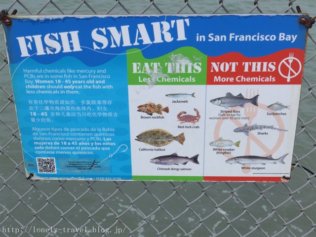 ピア39 PIER39
