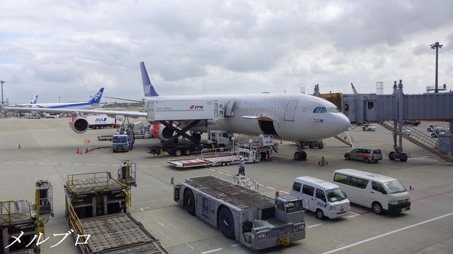 スカンジナビア航空