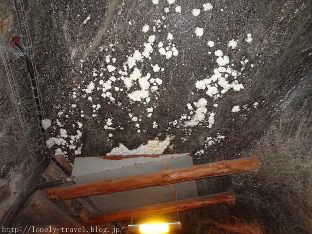 ヴィエリチカ岩塩坑 Wieliczka Salt Mine