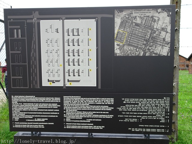 ビルケナウ Birkenau