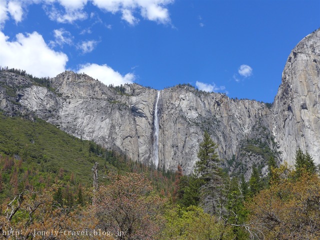 世界遺産ヨセミテ国立公園 Yosemite6