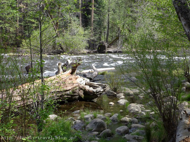 世界遺産ヨセミテ国立公園 Yosemite14