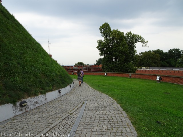 コシチュシコ山 Kosciuszko's Mound