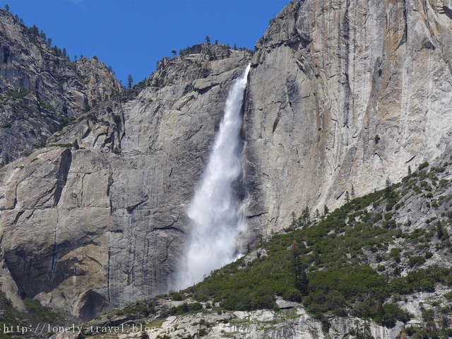 世界遺産ヨセミテ国立公園 Yosemite14