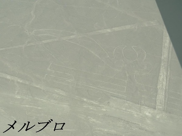 ナスカの地上絵