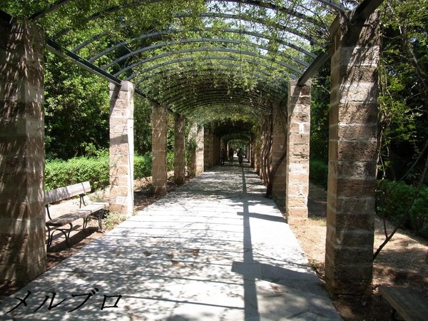 アテネ 国立庭園