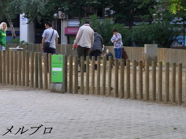 ドッグラン