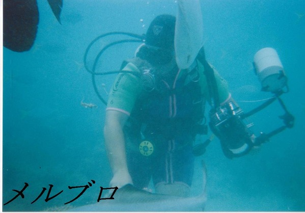 グリーン島