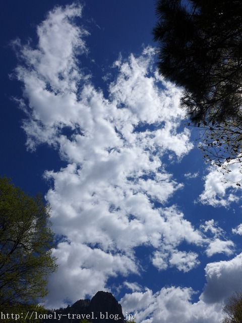 世界遺産ヨセミテ国立公園 Yosemite9