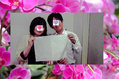orchid sn