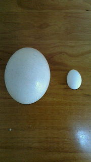 2012050713260000