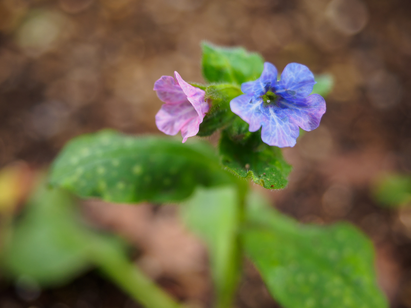 P3130024