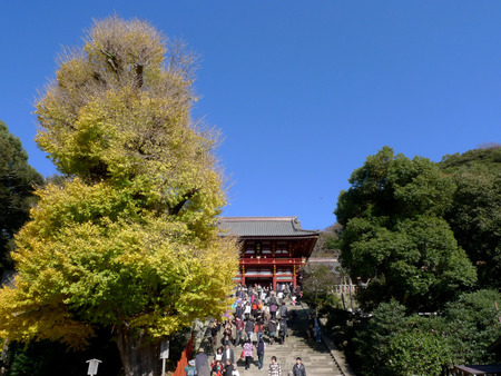 八幡宮