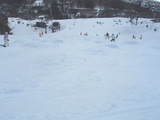 白樺07.02.10午後