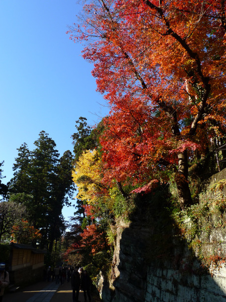 円覚寺(4)