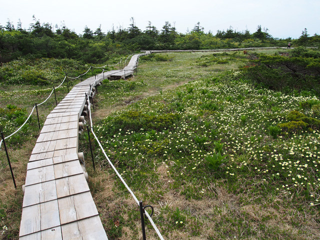 御田の神湿原(2)