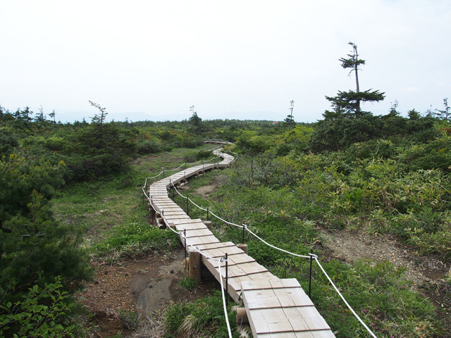 御田の神湿原(1)