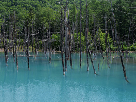 青い池(2)