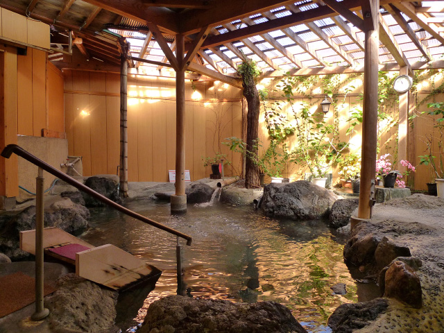 七沢荘 内湯
