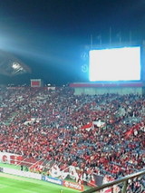 43020906.jpg