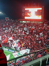 747a479a.jpg