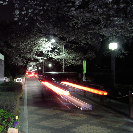 青山霊園