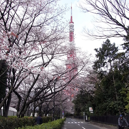 東京タワー2009年3月31日