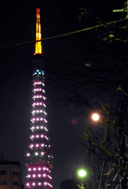 東京タワーと月