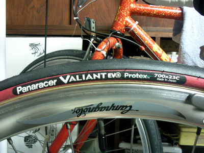 Panaracer VALIANT EVO3 側面