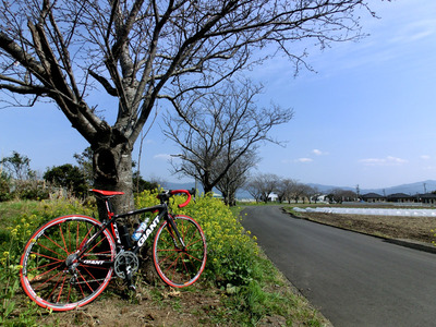 201103261441